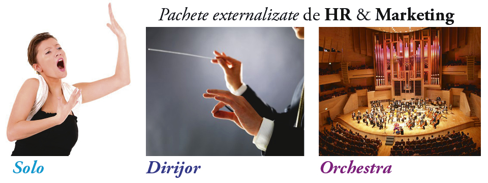 Pachete externalizate de HR & Marketing
